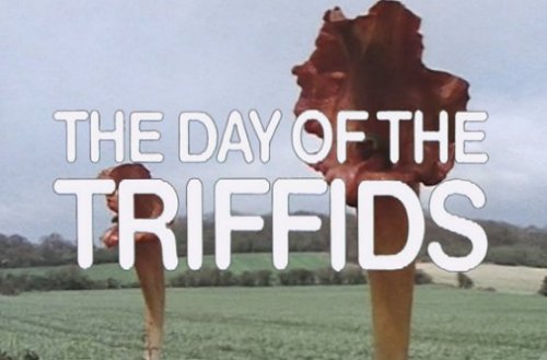 'The Day of the Triffids' (1981)